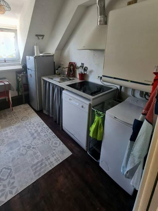 Appartement Centre Ville Terrasse Jardin Garage Chez Priscilla オーリヤック エクステリア 写真